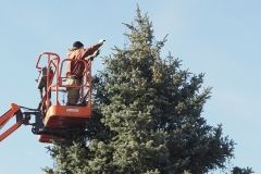 Stringing Christmas tree lights
