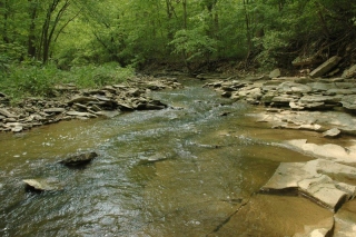 Hathaway Preserve at Ross Run