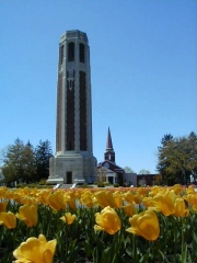 2009 North Manchester Tulip Festival