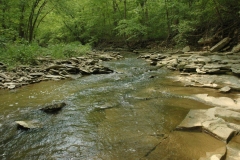 Hathaway Preserve at Ross Run