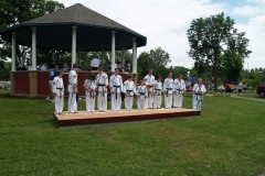 Taekwondo demonstration