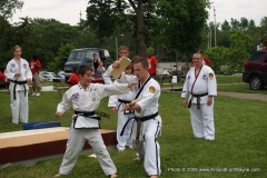 Taekwondo demonstration