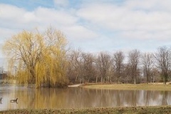 2009/03/09 - Headwaters Park