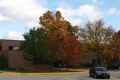 2009/11/03 - Changing leaves