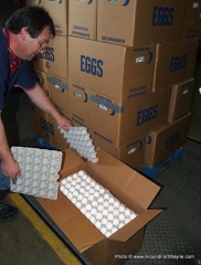 Egg Donation to the Community Harvest Food Bank