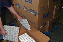 Egg Donation to the Community Harvest Food Bank