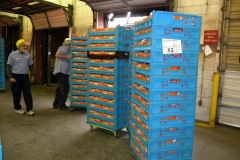 Holsum bread donation