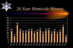 20 year Homicide History