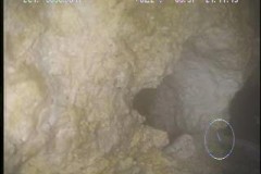 Grease blockages in sewer pipe