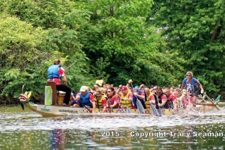Dragon Boat Race
