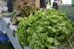 Ft. Wayne's Farmer Market