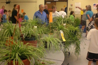 School Children’s Flower and Vegetable Association Blue Ribbon Show