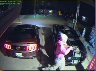 Armed Robbery/Carjacking suspects