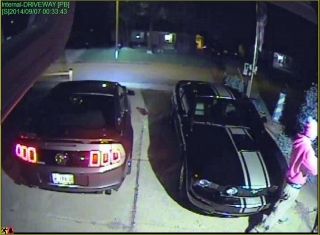 Armed Robbery/Carjacking suspects
