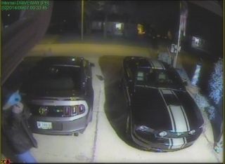 Armed Robbery/Carjacking suspects