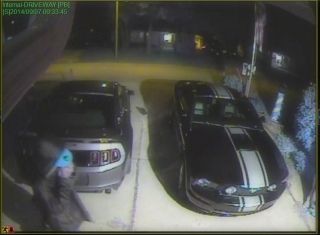 Armed Robbery/Carjacking suspects