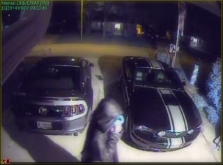 Armed Robbery/Carjacking suspects