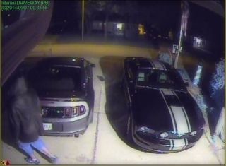 Armed Robbery/Carjacking suspects