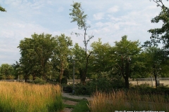 2012/06/30: Derecho damage