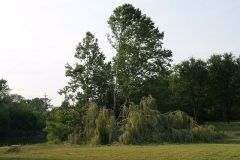 2012/06/30: Derecho damage