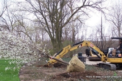 2013/04/25: New trees