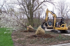 2013/04/25: Tree planting
