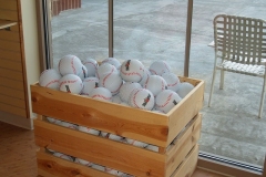 2009/04/04: Inside The Orchard