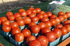 2009/06/05: Tomatoes