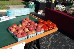 2009/06/05: Nectarines and Red Peppers