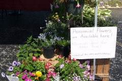 2009/07/26: At the Historic West Main Street Farmer's Market