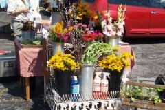 2009/07/26: At the Historic West Main Street Farmer's Market