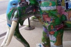 Fort Wayne Mag-A-Don