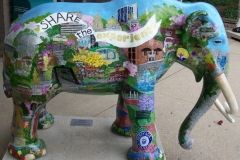 Fort Wayne Mag-A-Don