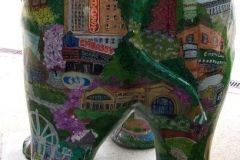 Fort Wayne Mag-A-Don