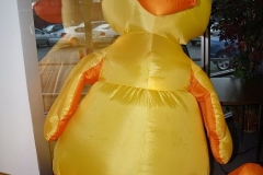 Now that's a big DUCK!