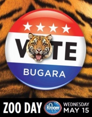 Bugara the Sumatran Tiger