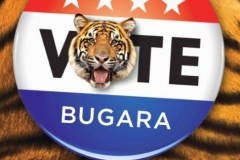 Bugara the Sumatran Tiger