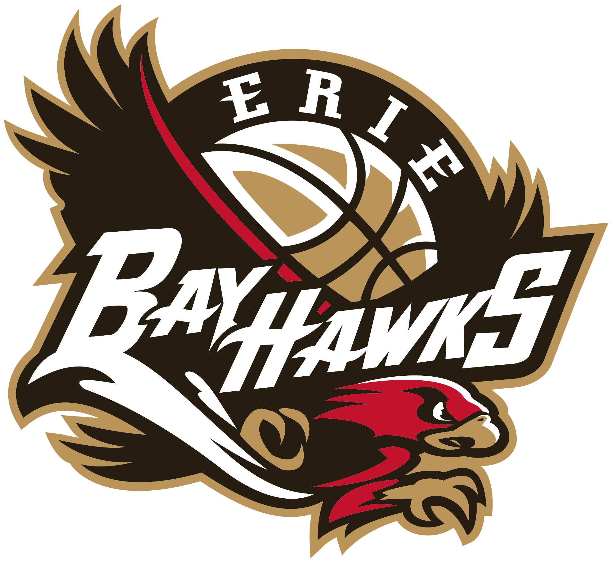 BayHawks fall to Mad Ants for first loss of season Erie BayHawks logo