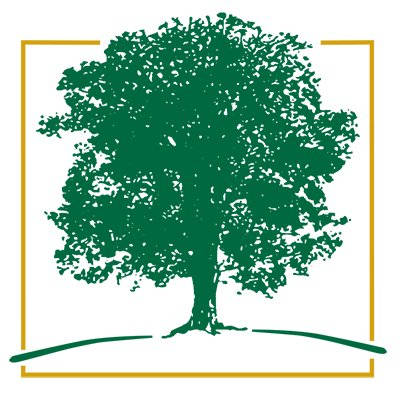 Ash Skyline Plaza tops out construction