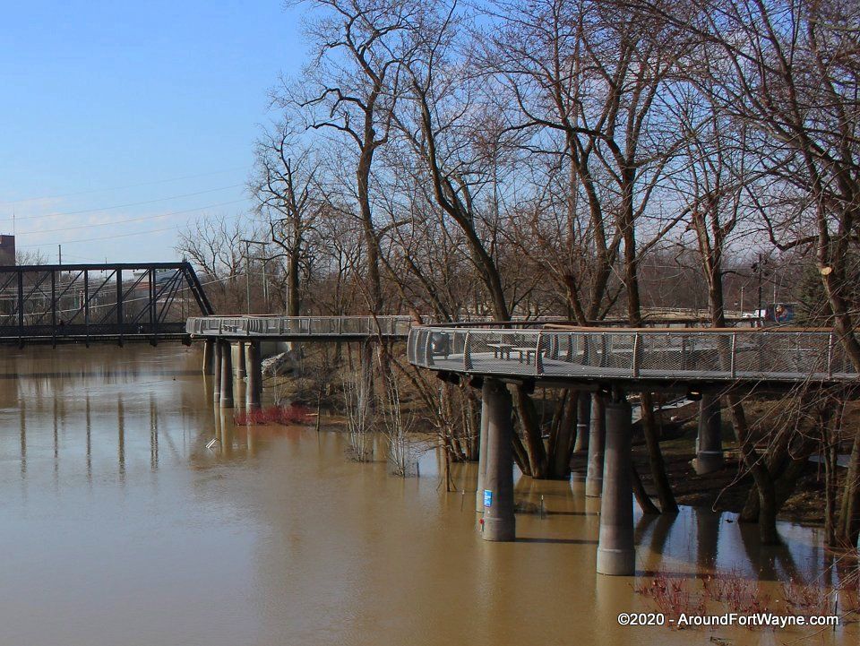 The Parkview Tree Canopy