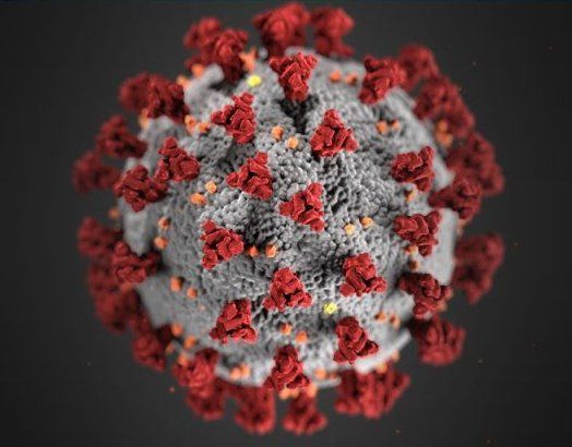 Multiple COVID-19 variants in Indiana