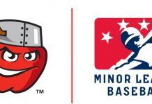 TinCaps Baseball season cancelled