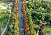 The changing leaves The changing leaves