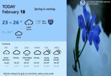 NWS: Light snow and cold temperatures