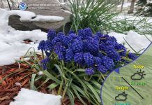 NWS: Dry and seasonable through Friday