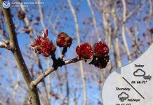 NWS: 30% chance of showers this morning