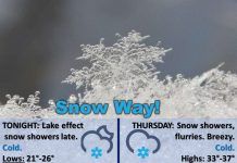 NWS: Cold with a low of 24 degrees