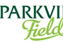 Parkview Field News: Update on 2019 HolidayFest “Night of Lights”