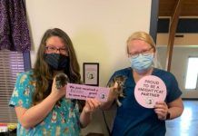 FWACC receives $10K grant to save neonatal kittens