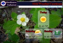 NWS: Mild weather continues